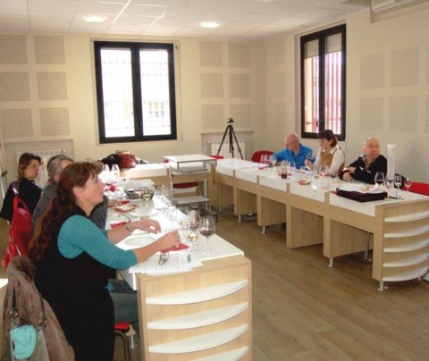 SALLE DE DEGUSTATION BRIGNOLES PROVENCE VERTE