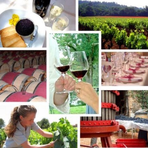 LE LE TEMPS DES PLAISIRS SIMPLES